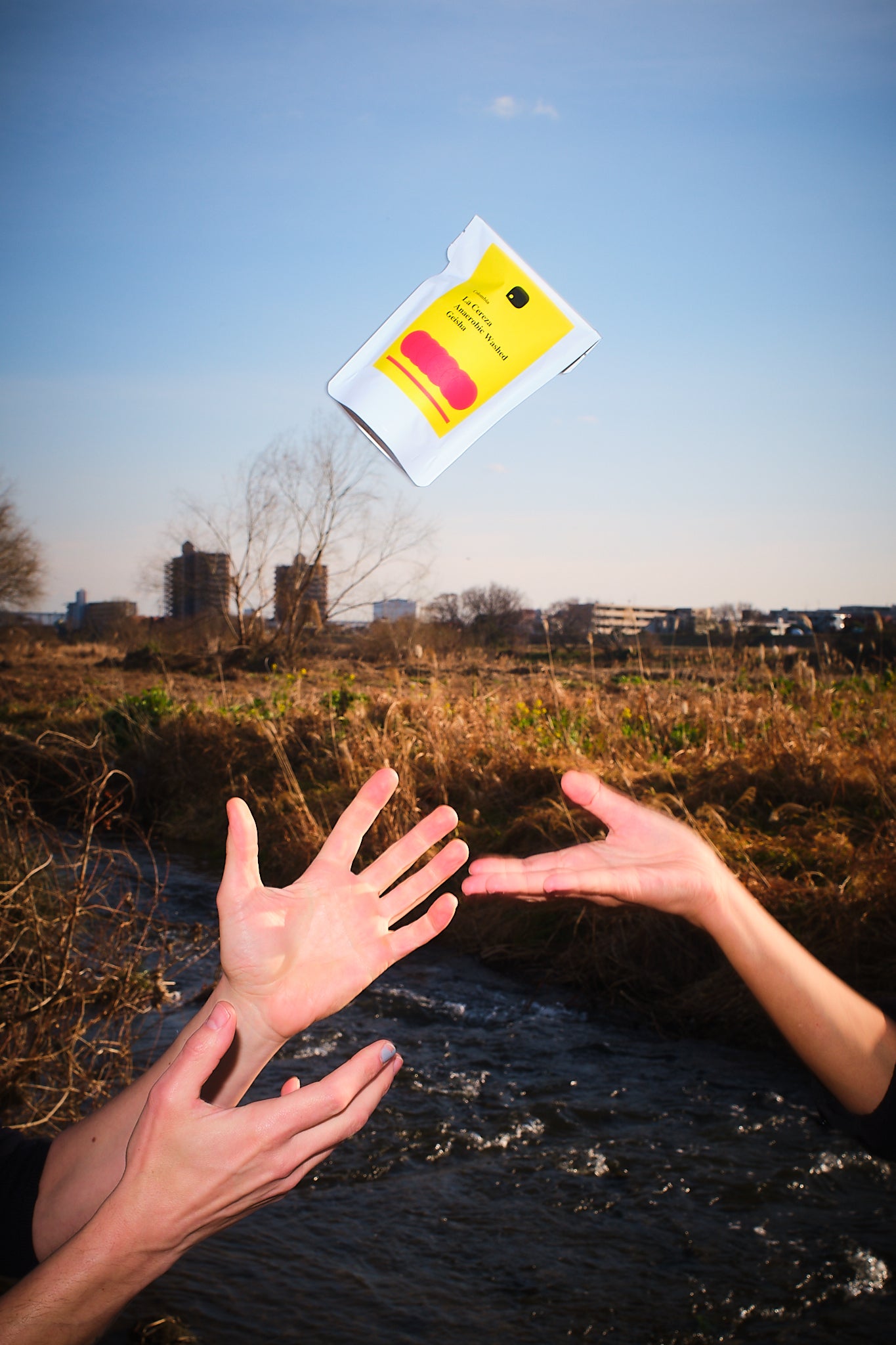 COLOMBIA/La Cereza/Anaerobic Washed/Geisha