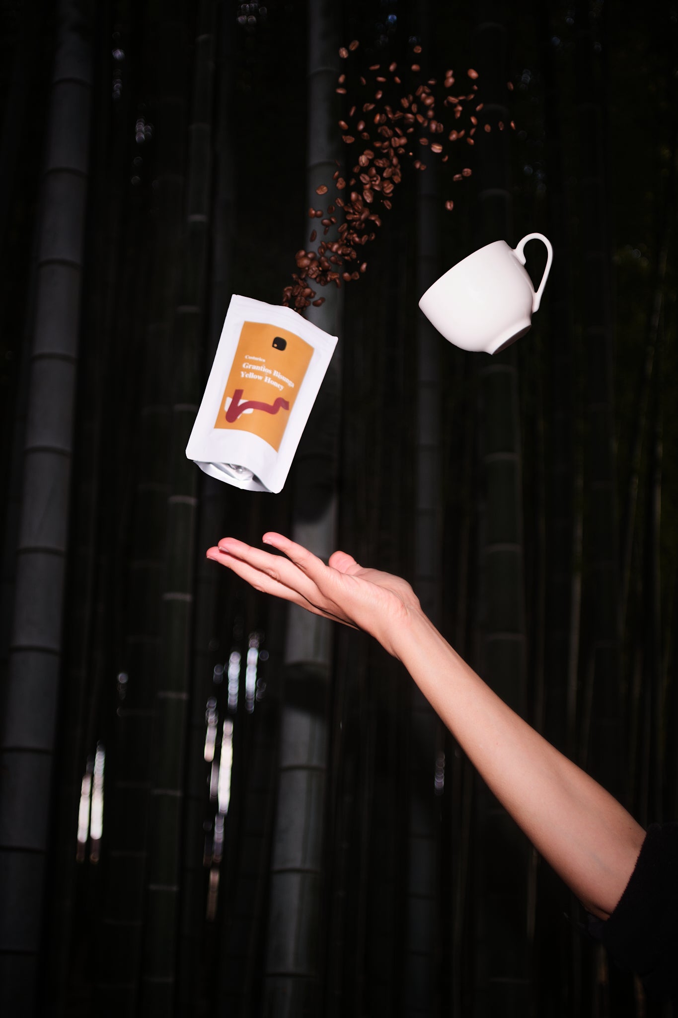 COSTA RICA /Grantios Bisunga/Yellow Honey 