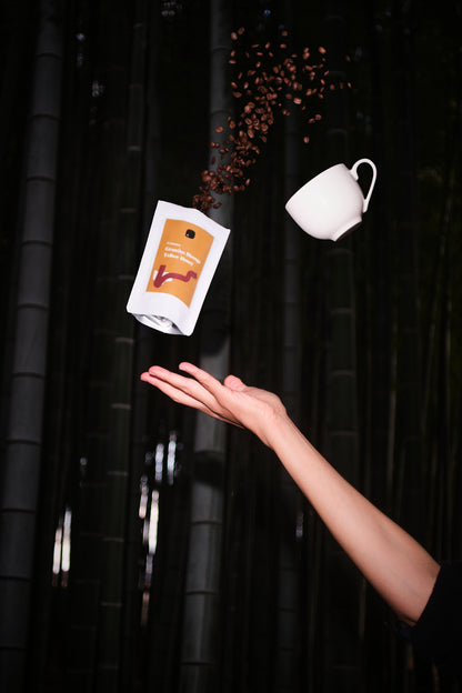 COSTA RICA /Grantios Bisunga/Yellow Honey 