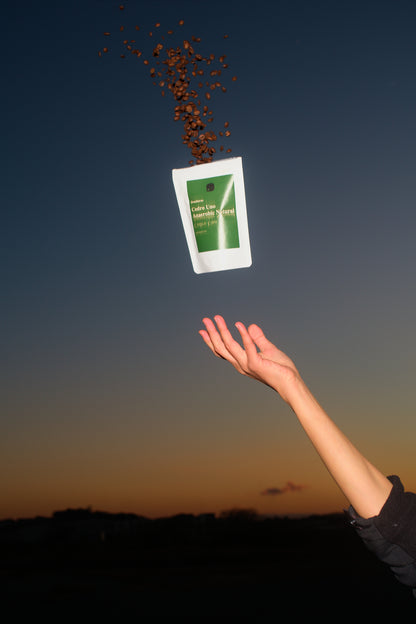 Honduras/Cedro Uno/Anaerobic Natural 